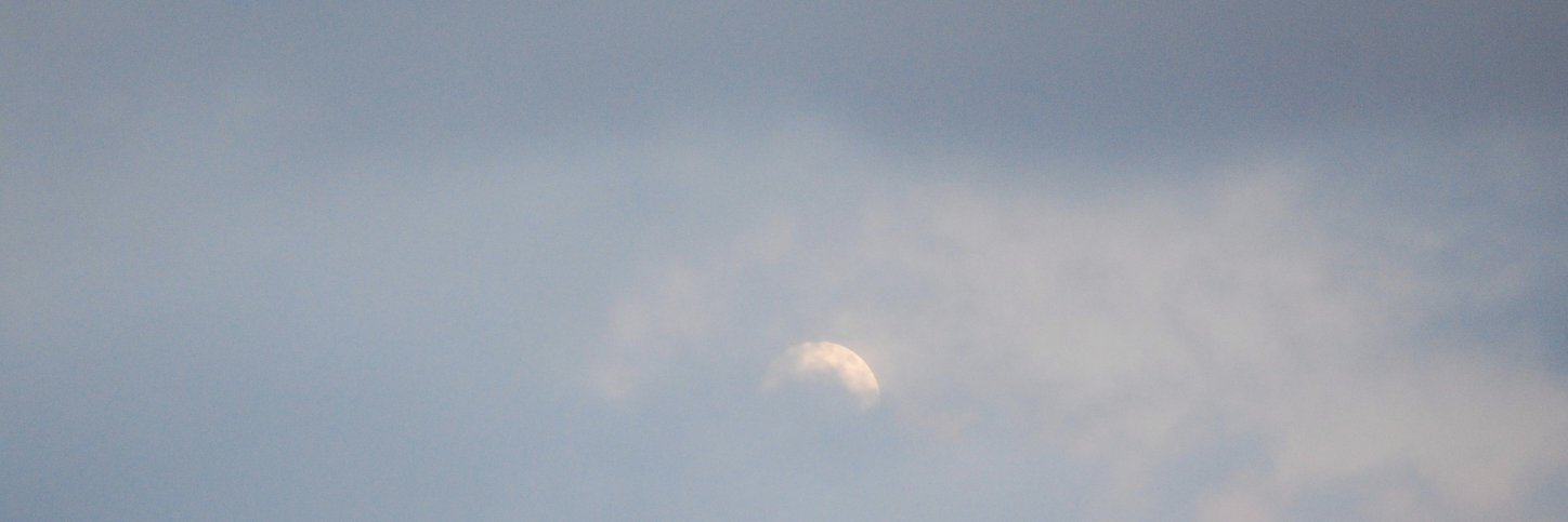 Mariavi de la Serna banner