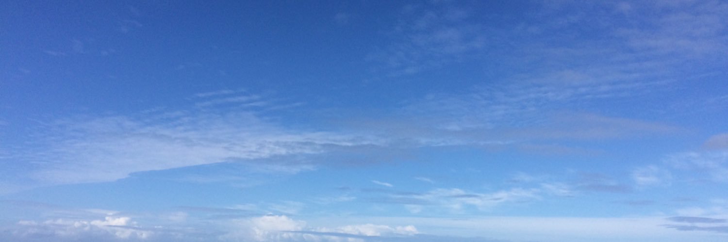 SharonKinchela's profile banner image