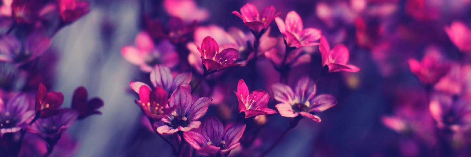 maddief0723's profile banner image