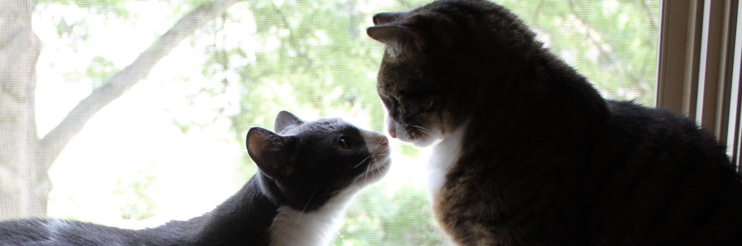 WeareINTP's profile banner image