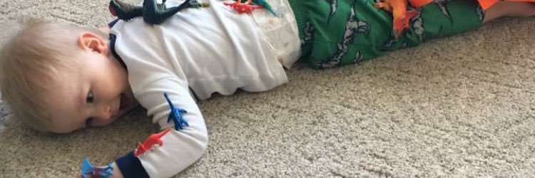 llrandt's profile banner image