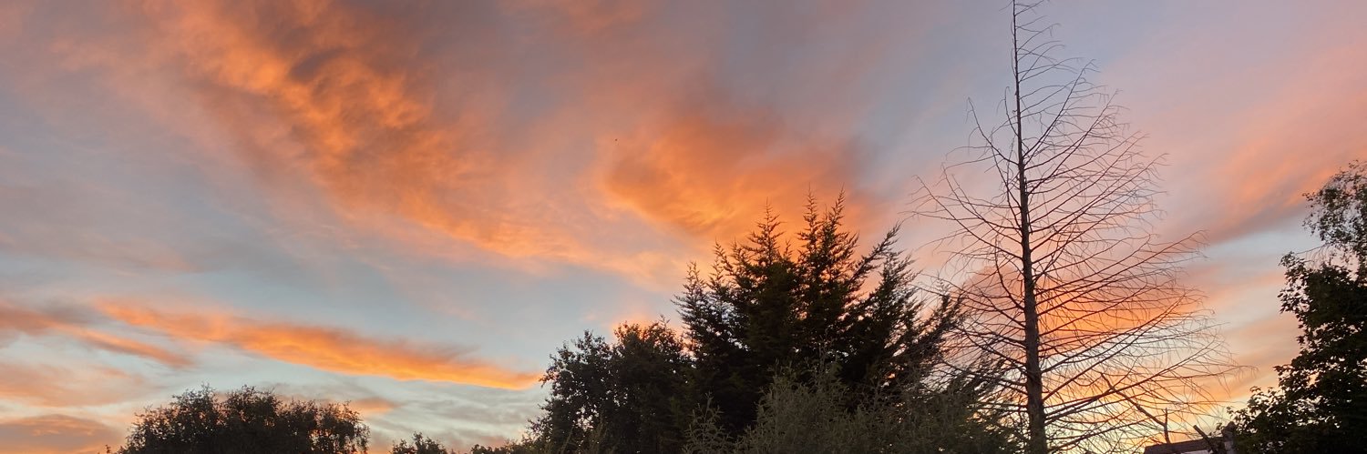 BarbsHarry's profile banner image