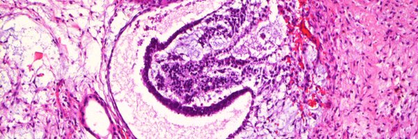 REjimenezMD Profile Banner