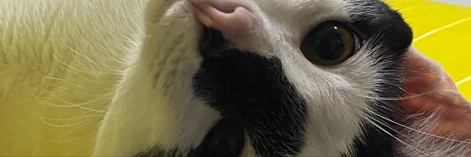 Pandinhapx's profile banner image