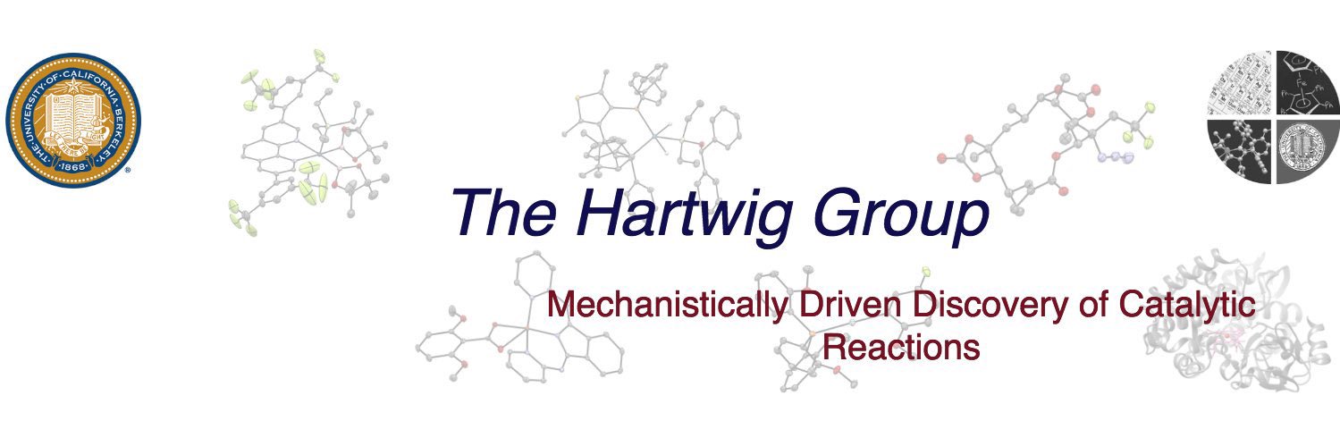 The Hartwig Group banner