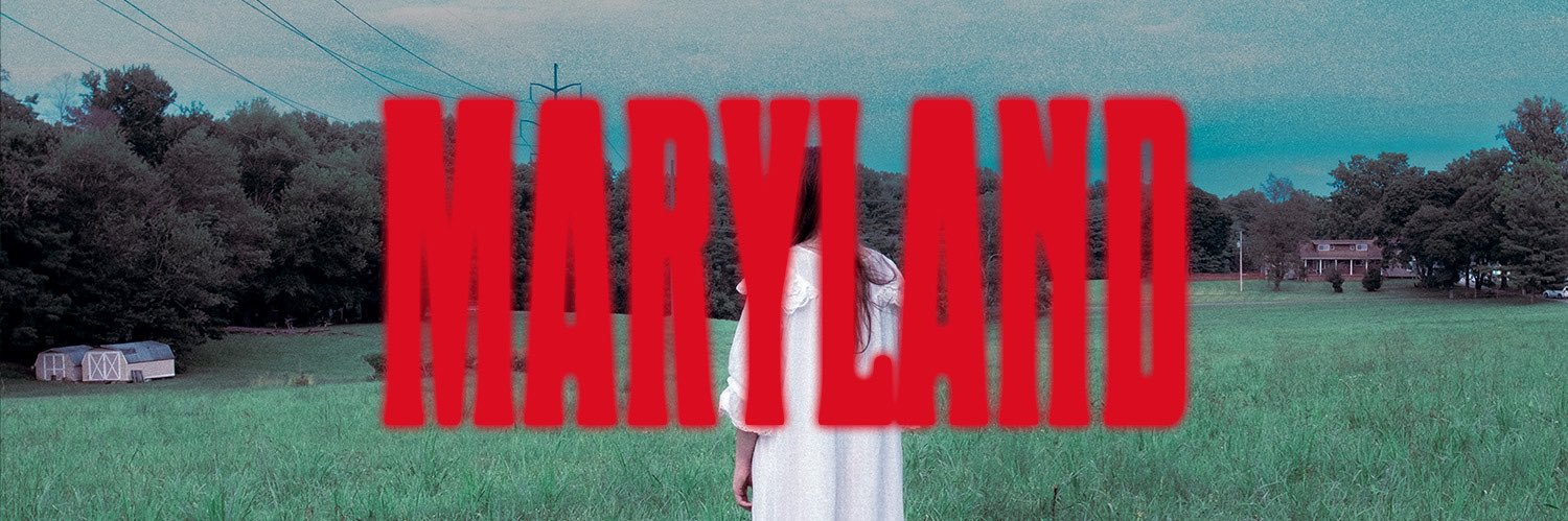 post wook ✨🌻 banner