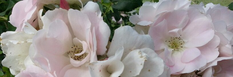 TheBookBowery's profile banner image