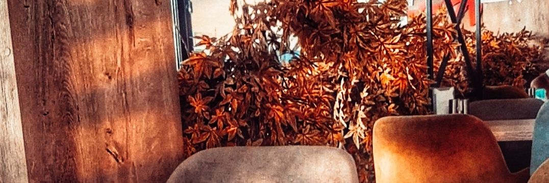 EyllKokmaz's profile banner image