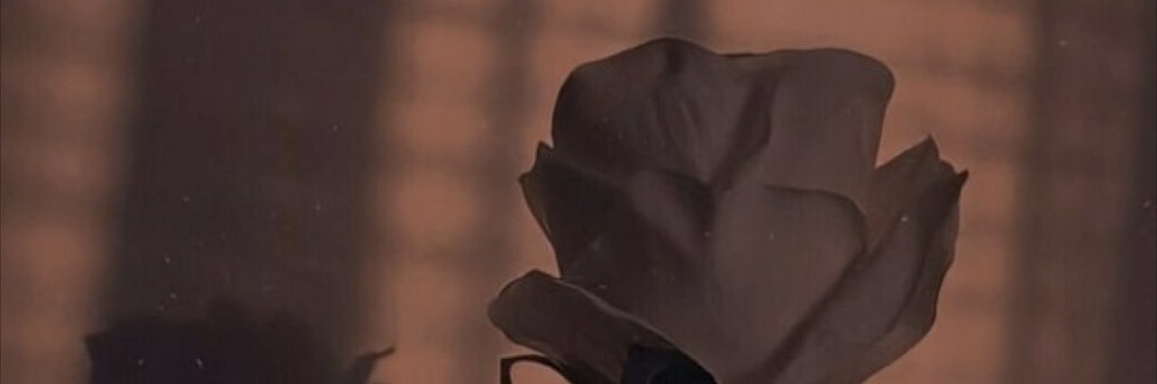 AilenAab's profile banner image