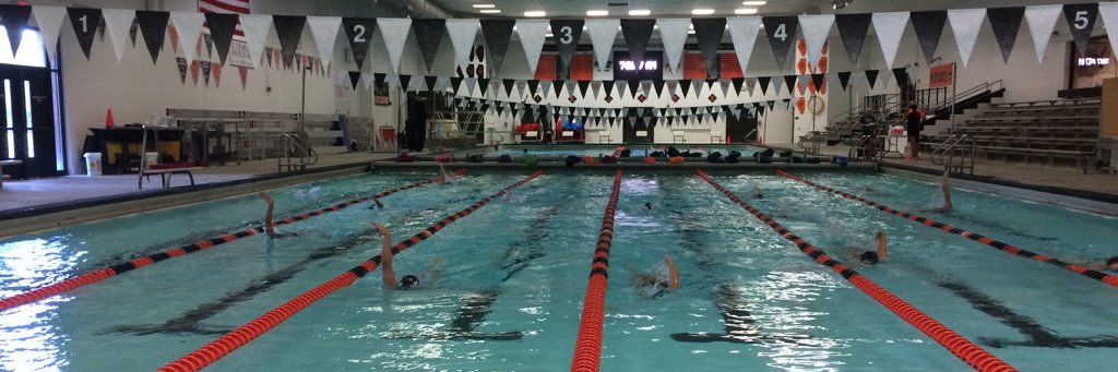 STCEsaints_swimdive banner