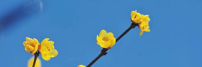 ◡̈ ♡👀บ.💚 banner