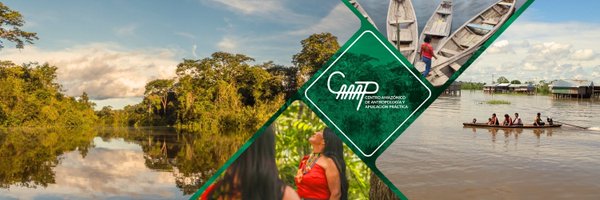 CaaapPeru Profile Banner