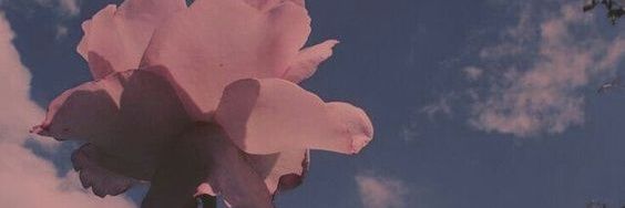 W_Azeza's profile banner image
