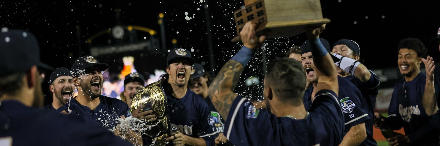 American Association banner