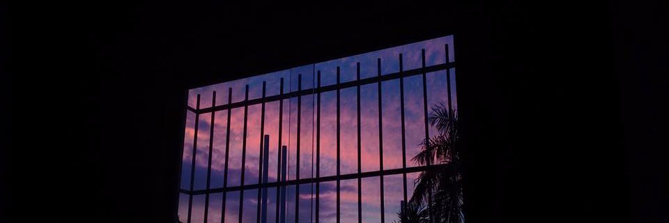 tmontito's profile banner image