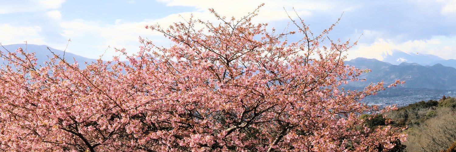 furawa's profile banner image