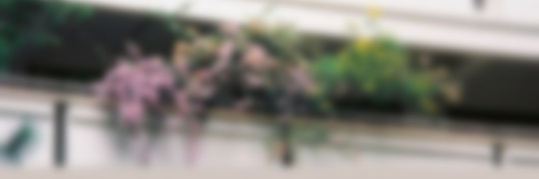 npc banner