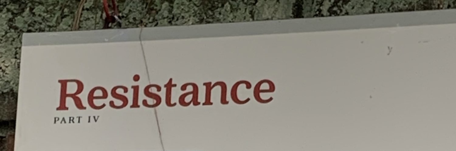 Court 🇵🇸💜 banner