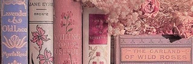 annie ﾟ𐦍༘ banner