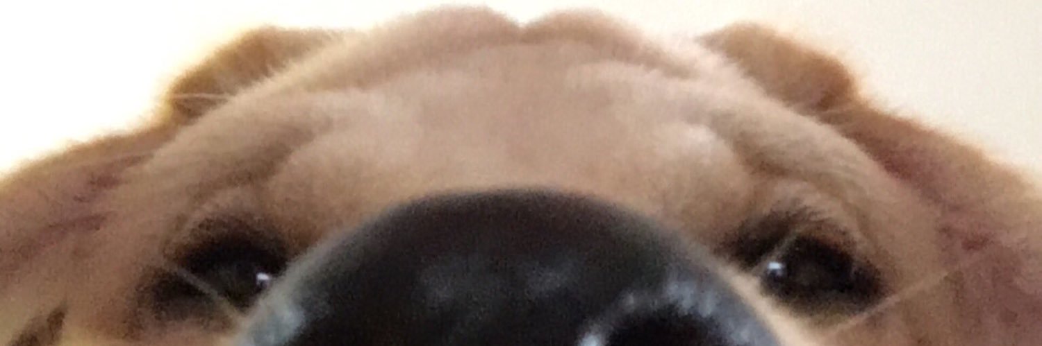 Kai_The_Lab's profile banner image