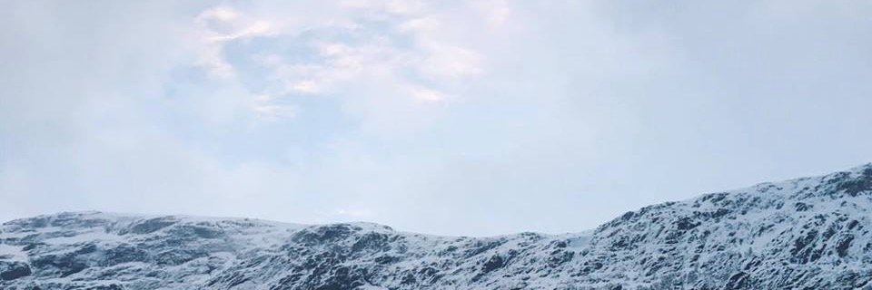 csadlerstudio's profile banner image