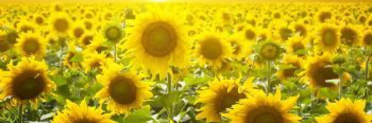 Mark&Mary tweets r mine Grandfather Navy Vet banner