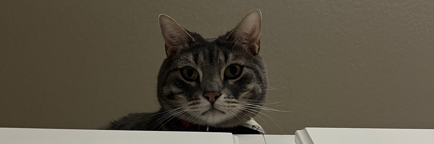 TristanSimone's profile banner image