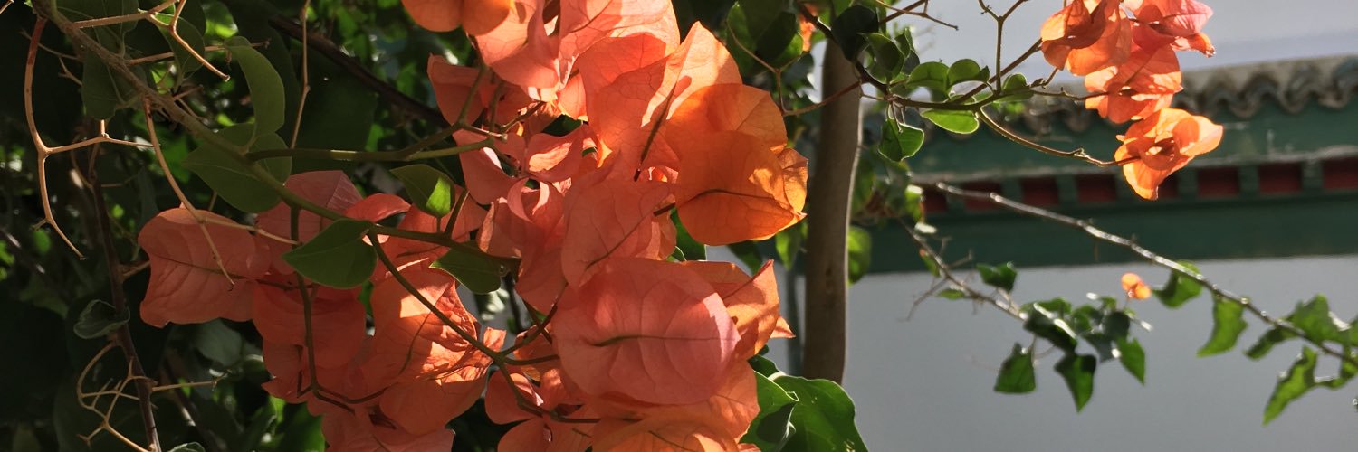 NadiaElSebai1's profile banner image