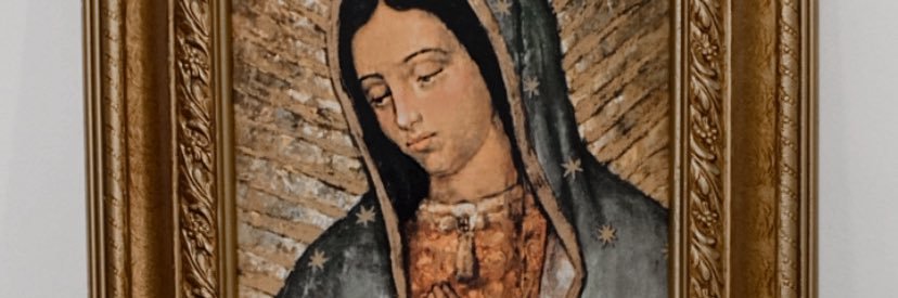 camilacoronelr's profile banner image