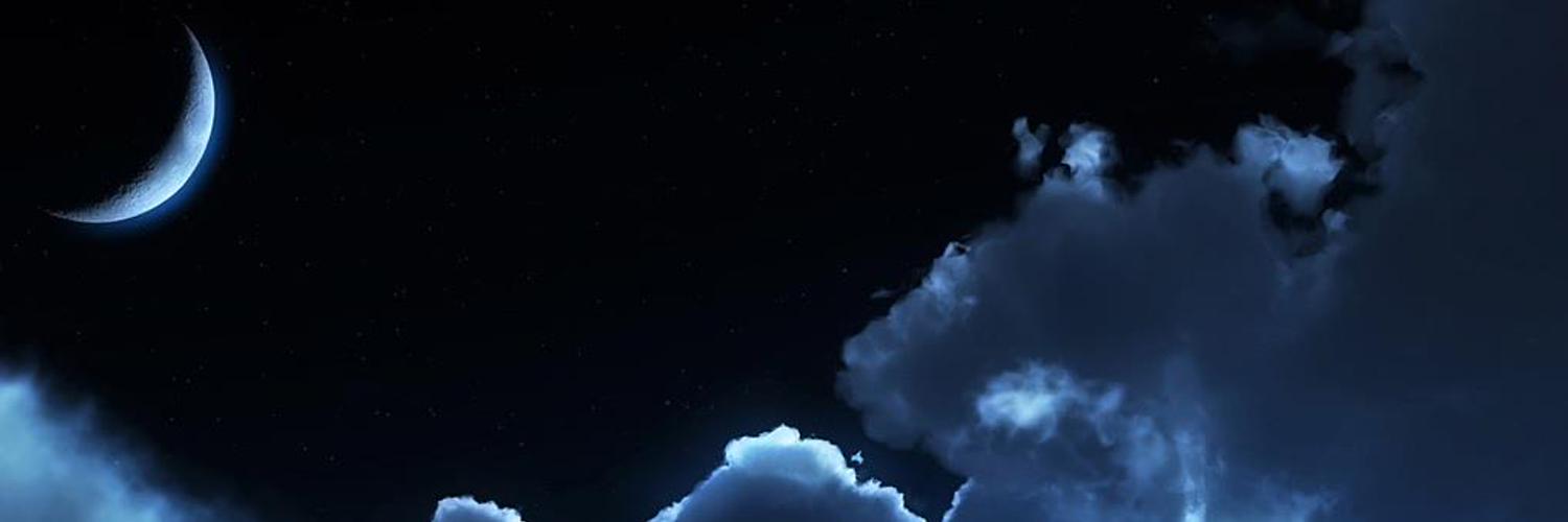 frigerioc's profile banner image