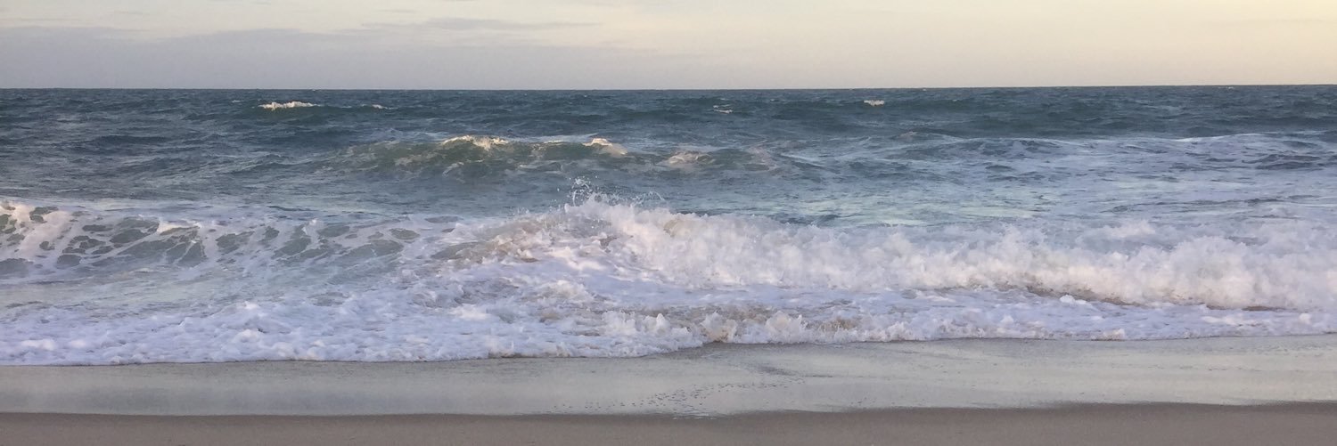 forwellington's profile banner image