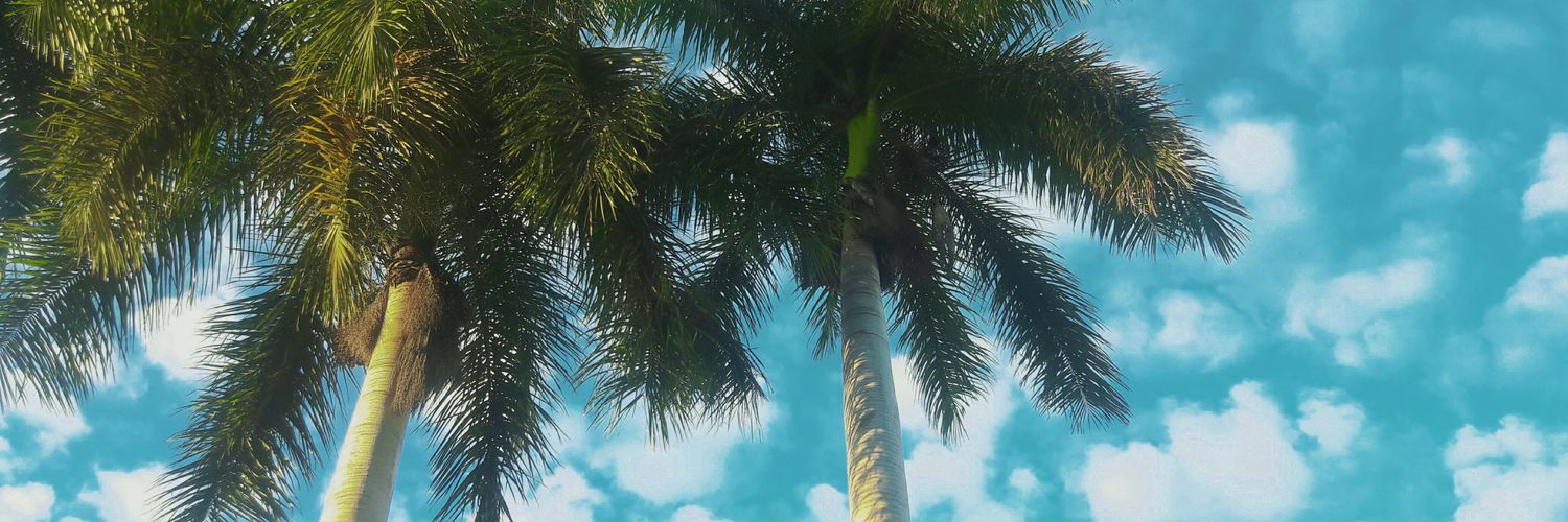 Saalysauria's profile banner image