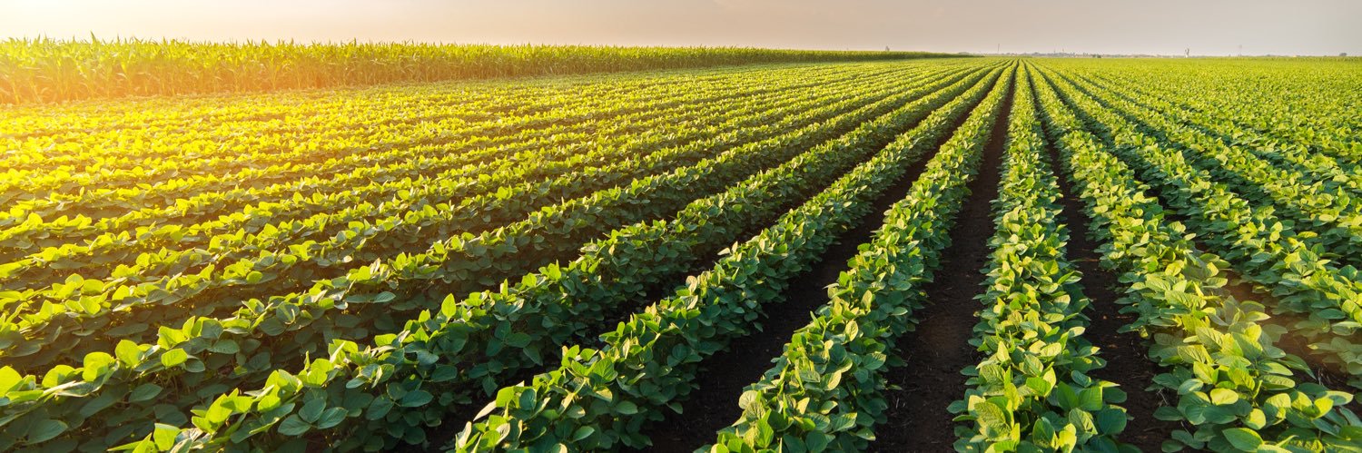 Plant for Future 🌱 banner