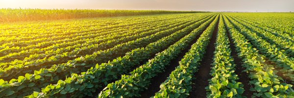 Plantation Profile Banner