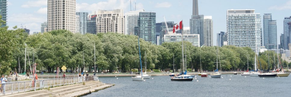 Alex Colangelo banner