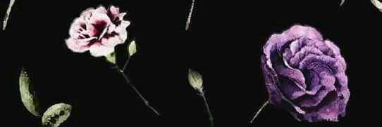 نُونْ الغَامْدِي 🥀 banner