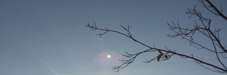 あほ banner