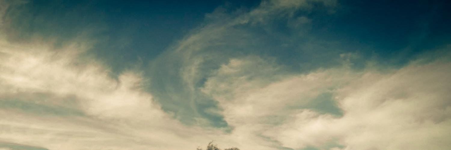 lepata's profile banner image