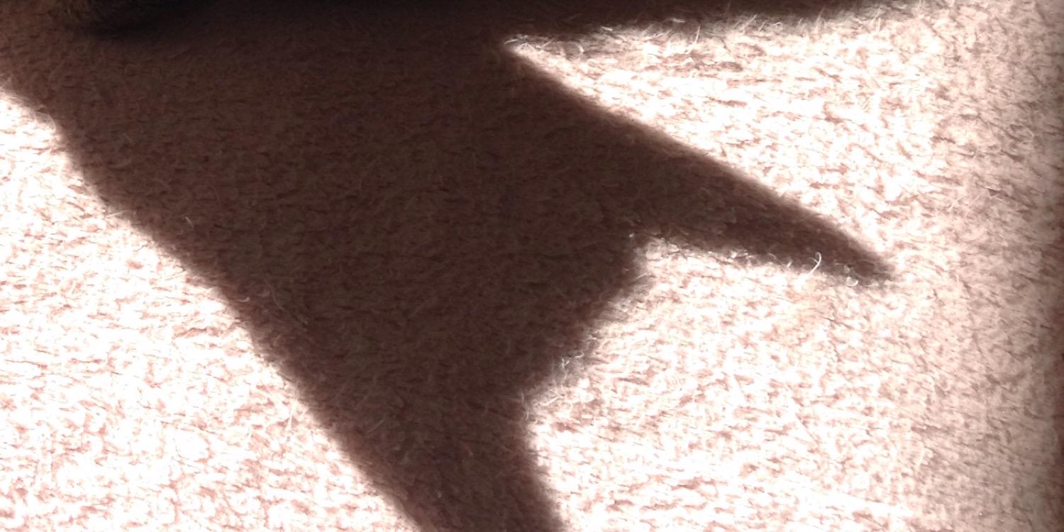 大野 和寿 OHNO,Kazuhisa banner