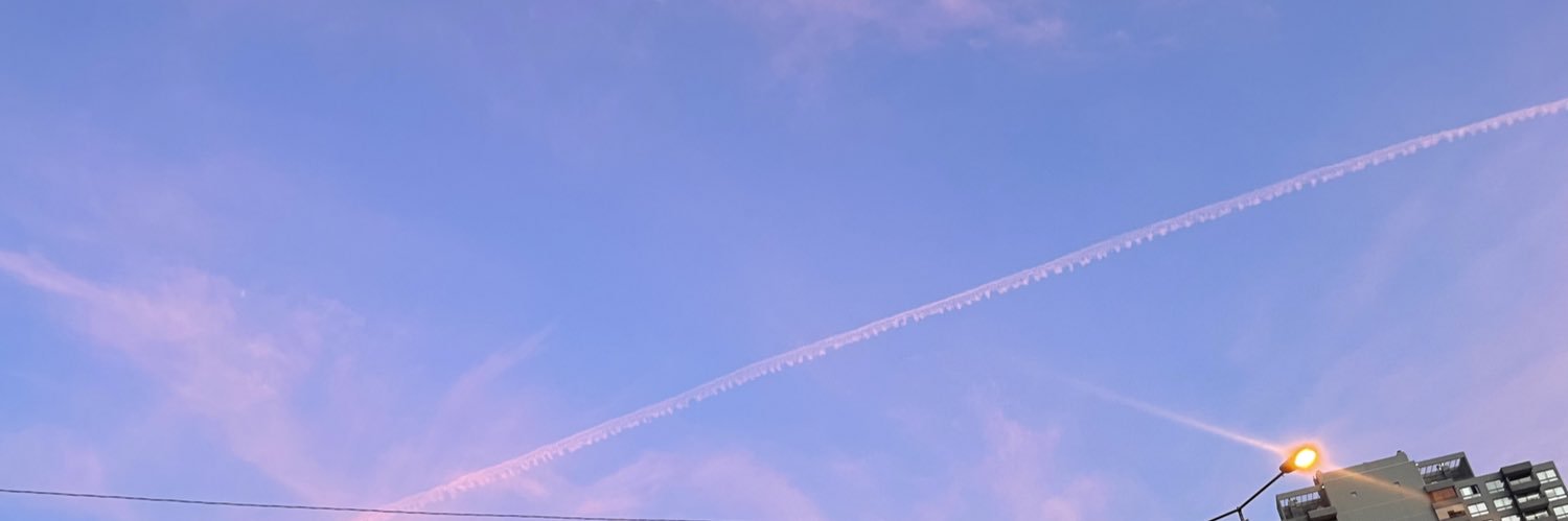ShandraJrv's profile banner image