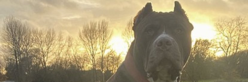 GreenhalghKee's profile banner image