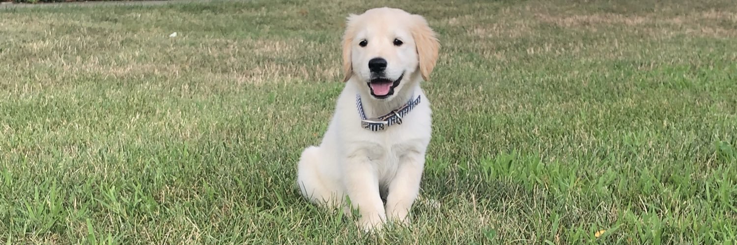 landonkay's profile banner image