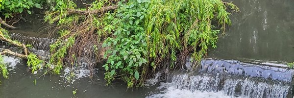 EcoEmo96 Profile Banner