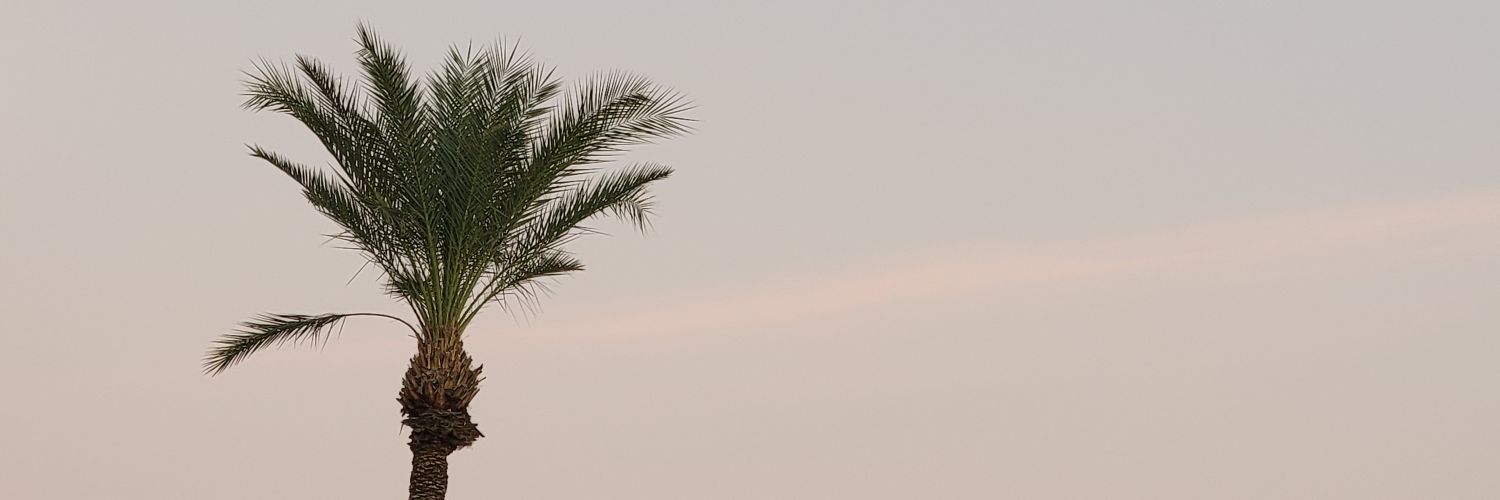 Safety Hazzard⚠️ banner