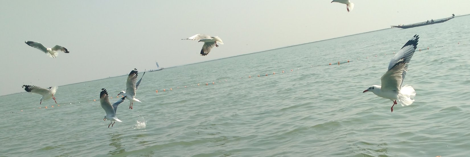 Deepak Mahapatra banner