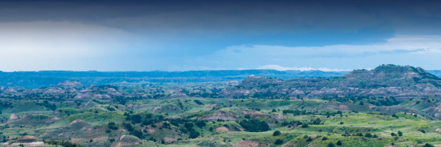 hansonfornd's profile banner image