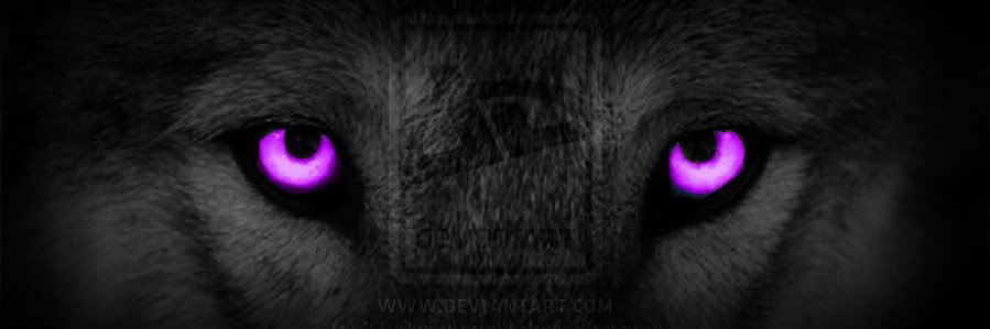 stilinshe's profile banner image