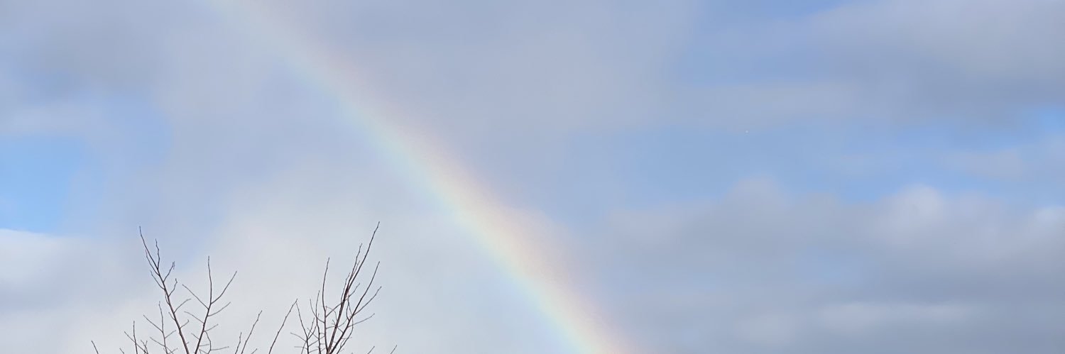 212_annie's profile banner image