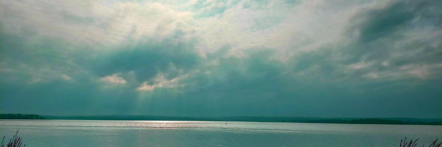 sedge13's profile banner image