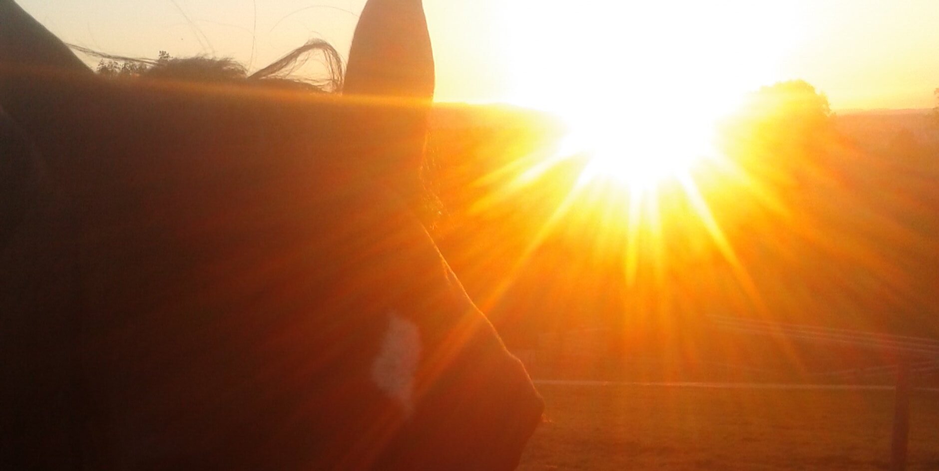 piariedweg's profile banner image